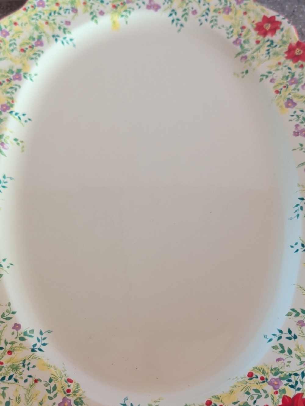 Pioneer Woman Holiday Turkey, Ham Or Veggie Oval Serving Platter.๐๐๐ - Picture 6 of 14